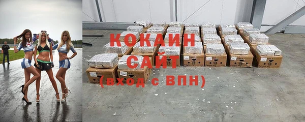 сатива Армянск