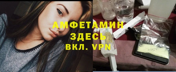сатива Армянск
