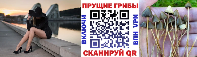 Галлюциногенные грибы прущие грибы  Купить где  Сосногорск 